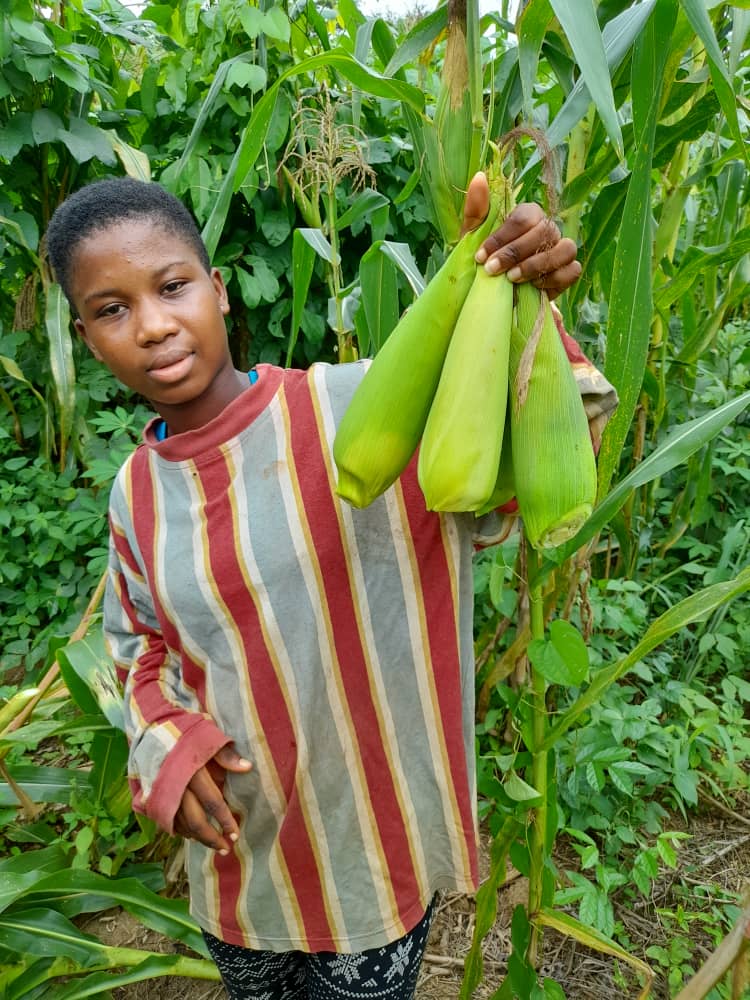 Microfinance Impact